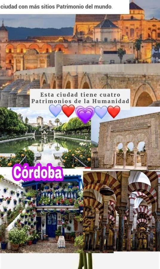 Grupo Limcotel El Paseito De Concha-Mesquita-Parking Córdoba Kültér fotó