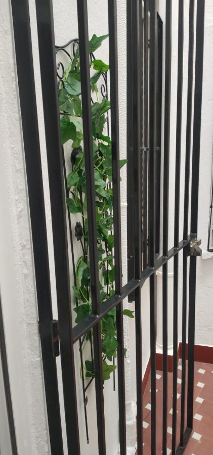 Grupo Limcotel El Paseito De Concha-Mesquita-Parking Córdoba Kültér fotó